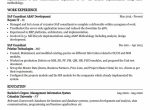 Sap Sd Mm Consultant Resume Sample Sap Consultant Resume Example