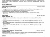 Sap Sd Mm Consultant Resume Sample Sap Consultant Resume Example