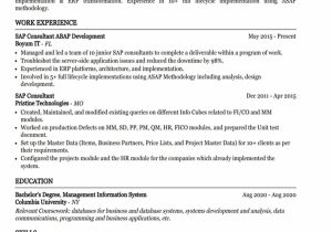 Sap Sd Mm Consultant Resume Sample Sap Consultant Resume Example