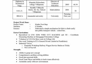 Sap Sd Mm Consultant Resume Sample Sap Mm Sample Resumes