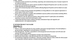 Senior It Project Manager Resume Sample It Senior Project Manager Resume Samples