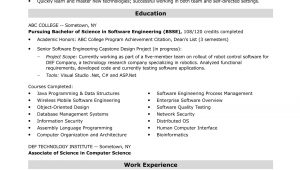 Software Engineer Resume Sample Entry Level Entry Level software Engineer Resume Sample