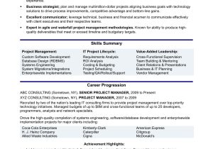 Software Project Description In Resume Sample It Project Manager Resume Monster.com