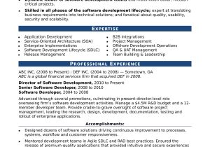 Software Project Description In Resume Sample Sample Resume for An Experienced It Developer Monster.com