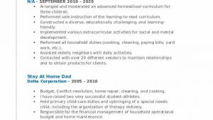 Stay at Home Dad Resume Sample Stay at Home Dad Resume Samples
