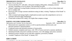 Summary Of Qualifications Sample Resume for Customer Service Customer Service Resume Sample Resume Panion
