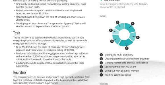 Tesl Lead Resume Sample that Can Get You Interview Elon Musk’s Ceo Resume Example In One Page Enhancv