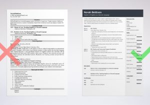 Tesl Lead Resume Sample that Can Get You Interview Esl Teacher Resume Sample (lancarrezekiq Esl Teacher Skills)