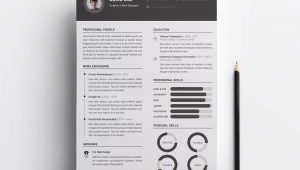 Two Column Resume Template Free Download Free 2 Column Resume Template (psd)