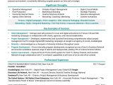 Vice President Of Operations Resume Samples Pin by Edward Reese On Resume In 2021 Manager Resume, Marketing …