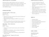 Website where You Can Print A Sample Resume Basic Resume Templates for 2022 (free Downloads)