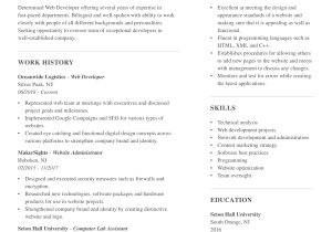 Website where You Can Print A Sample Resume Basic Resume Templates for 2022 (free Downloads)